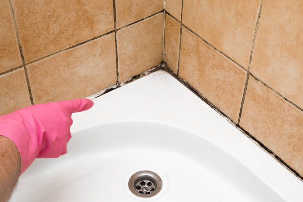Best Mold Removal Process  in Washington Mills, NY